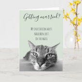 huwelijksvervoer met kat-Humor Kaart (Gele Bloem)