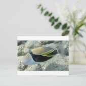 Huymuhumunukunukuapua'a Hawaii State Fish Briefkaart (Staand voorkant)