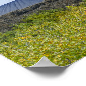 Hverfjall Volcano Cone, IJsland Poster (Hoek)