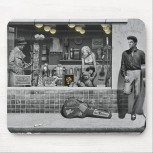 HWY 51 Silver Muismat