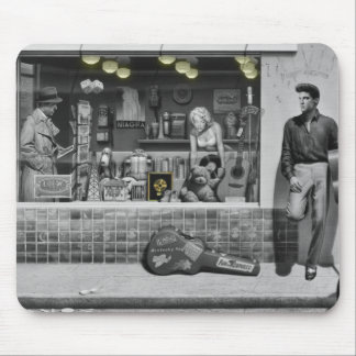 HWY 51 Silver Muismat