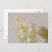 Hy canvas briefkaart (Voorkant / Achterkant)