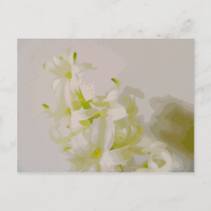 Hy canvas briefkaart