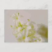 Hy canvas briefkaart (Voorkant)