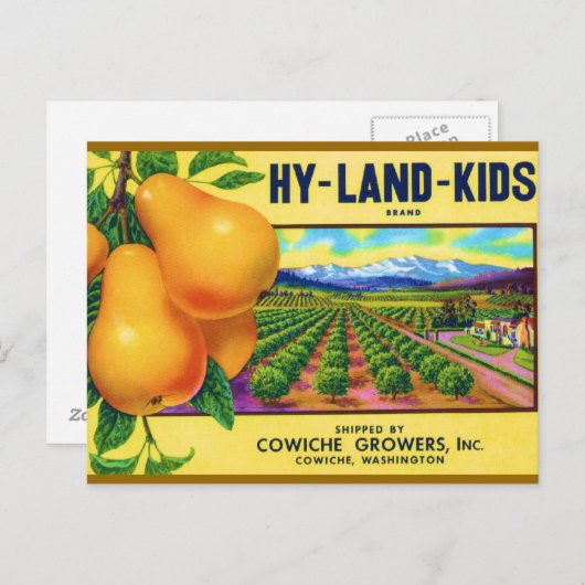 Hy-Land-Kinder peren Briefkaart (Voorkant / Achterkant)