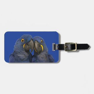 Hyacinne Macaw Parrot Rare Blue Bagagelabel