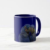 Hyacinne Macaw Parrot Rare Blue Mok (Voorkant rechts)