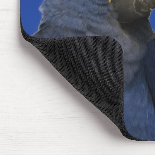 Hyacinne Macaw Parrot Rare Blue Muismat (Hoek)