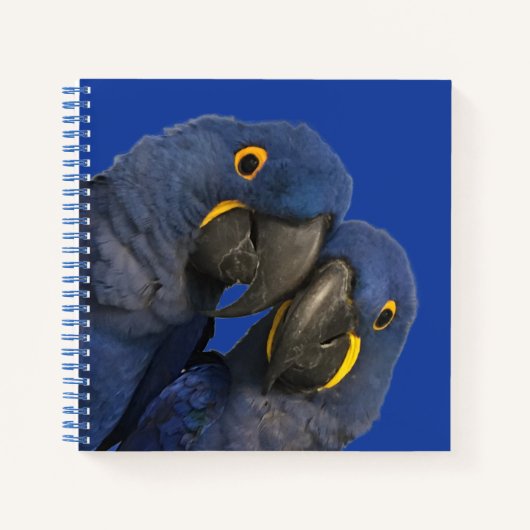 Hyacinne Macaw Parrot Rare Blue Notitieboek (Voorkant)