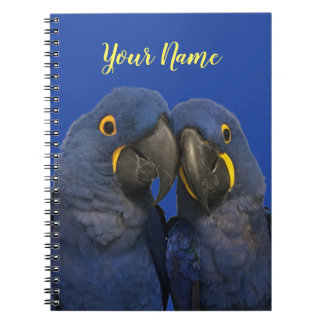 Hyacinne Macaw Parrot Rare Blue Notitieboek