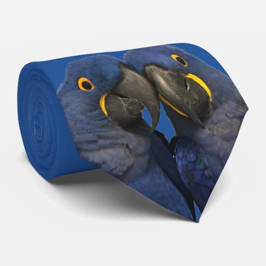 Hyacinne Macaw Parrot Rare Blue Stropdas (Opgerold)