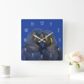 Hyacinne Macaw Parrot Rare Blue Vierkante Klok (Huis)