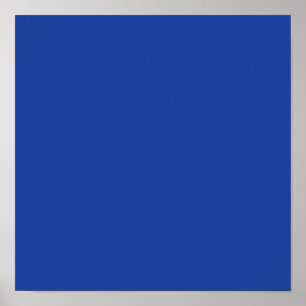 Hyacint Ara Blauw Poster