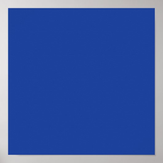 Hyacint Ara Blauw Poster (Voorkant)