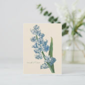 Hyacint Blauwe Bloem Illustratie Briefkaart (Staand voorkant)