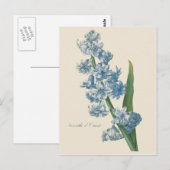 Hyacint Blauwe Bloem Illustratie Briefkaart (Voorkant / Achterkant)