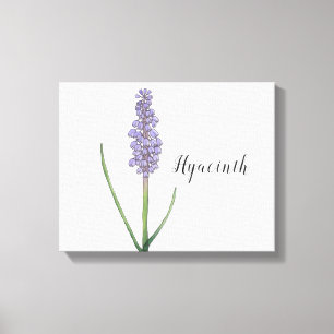 Hyacint Bloem Watercolor Canvas Print