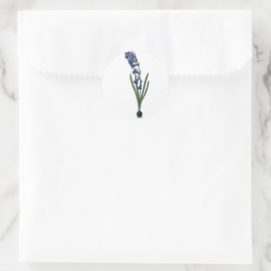  hyacint botanische print ronde sticker (Tas)