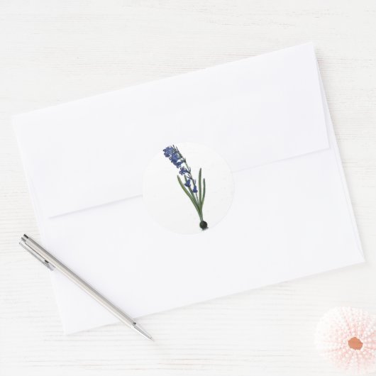  hyacint botanische print ronde sticker (Envelop)