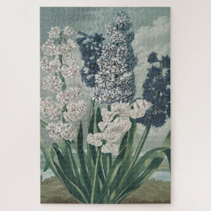 Hyacinten (1807) - Exquise  botanische Legpuzzel