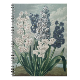 Hyacinten (1807) - Exquise botanische Notitieboek