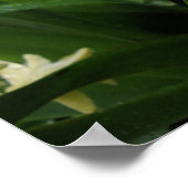 Hyacinten en regendruppels poster (Hoek)