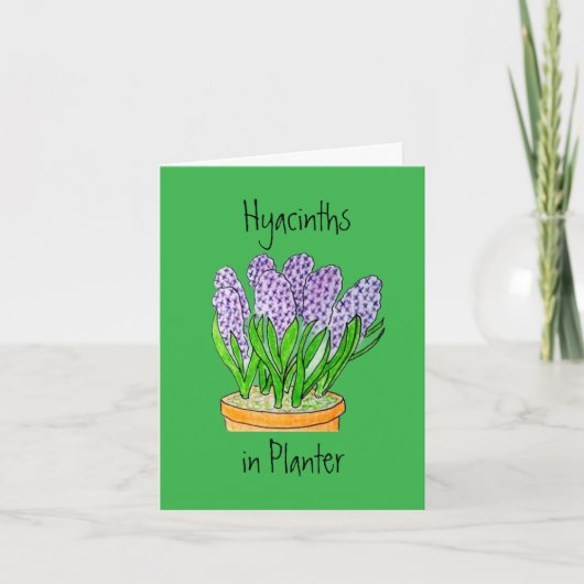 Hyacinten in Pot Kaart met lege achterzijde (Voorkant)
