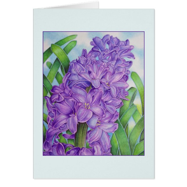 Hyacinth (Voorkant)