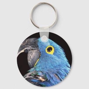 Hyacinth Ara Sleutelhanger