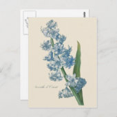 Hyacinth Blue Flower Illustration Briefkaart (Voorkant / Achterkant)