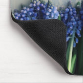 Hyacinth Bunch Muismat (Hoek)