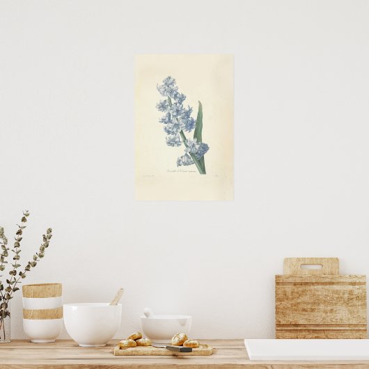 Hyacinth Canvas afdrukken Poster (Keuken)