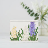 Hyacinth door Tanigami Konan Briefkaart (Staand voorkant)