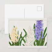 Hyacinth door Tanigami Konan Briefkaart (Voorkant / Achterkant)