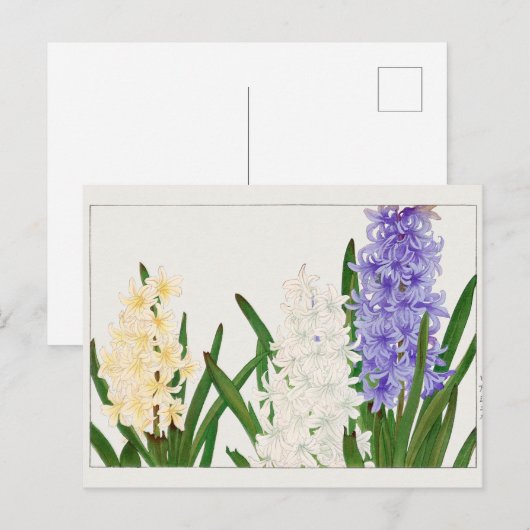 Hyacinth door Tanigami Konan Briefkaart (Voorkant / Achterkant)
