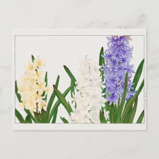 Hyacinth door Tanigami Konan Briefkaart (Voorkant)