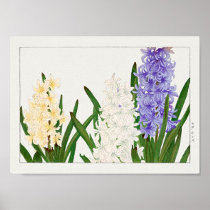 Hyacinth door Tanigami Konan Poster