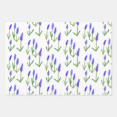 Hyacinth Easter Spring Floral Pattern Bulbs Gift Inpakpapier Vel (Voorkant 2)