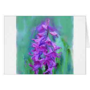 Hyacinth Flower