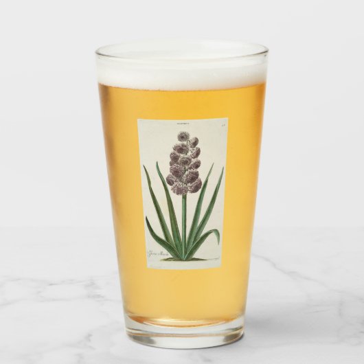 Hyacinth Flower (door Johann Michael Seligmann) Glas (Voorkant gevuld)