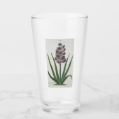Hyacinth Flower (door Johann Michael Seligmann) Glas (Voorkant)