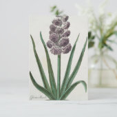 Hyacinth Flower (door Johann Michael Seligmann) Kaart (Staand voorkant)