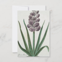 Hyacinth Flower (door Johann Michael Seligmann) Kaart