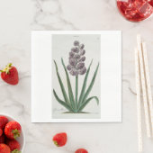 Hyacinth Flower (door Johann Michael Seligmann) Servet (Insitu)