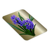 Hyacinth Flower in Full Bloom Magneet (Rechterzijde)