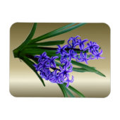 Hyacinth Flower in Full Bloom Magneet (Horizontaal)