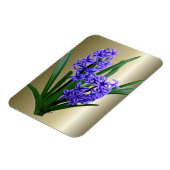 Hyacinth Flower in Full Bloom Magneet (Linkerzijde)