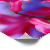 Hyacinth Flowers Poster (Hoek)