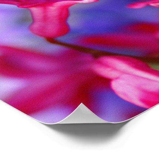 Hyacinth Flowers Poster (Hoek)