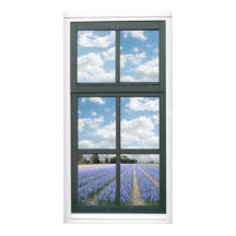 Hyacinth Flowers Spring Faux Window Uitzicht Poste